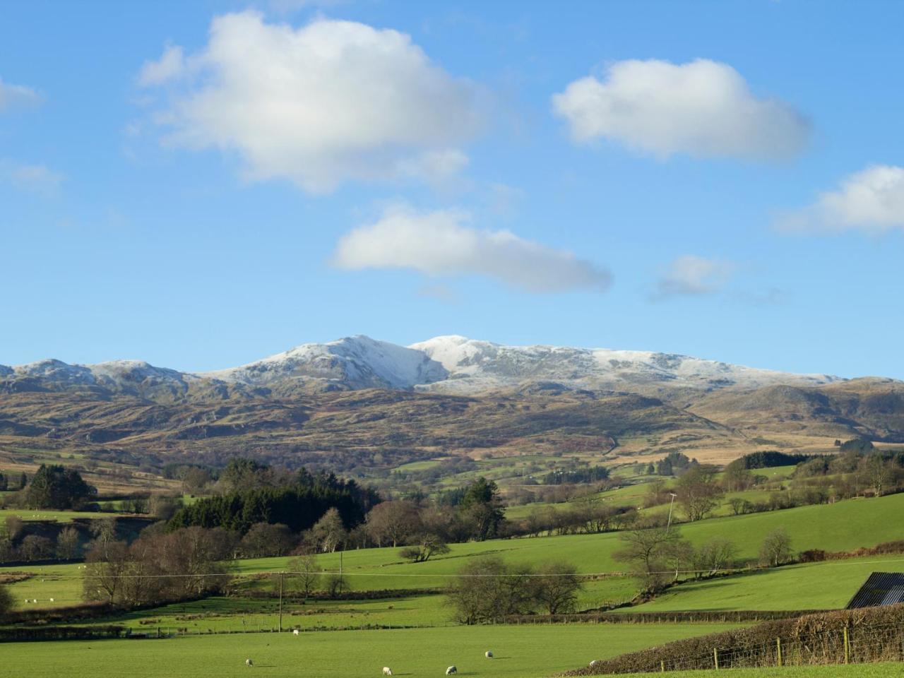 Cyffdy Cottage - Aran Llanycil Dış mekan fotoğraf